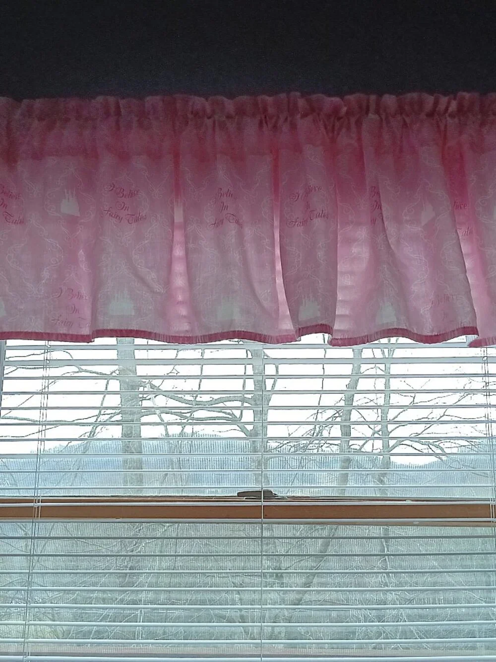 Set of 2 Disney window valances
